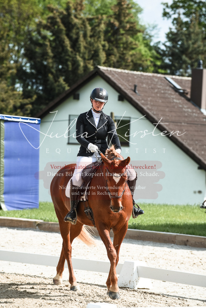 20230518_JK-Röhrsdorf-12-0024 | Pferde- und Turnierfotografie in Westsachsen. Pferdeportraits, Auftragszeichnungen und intuitive Kunst.