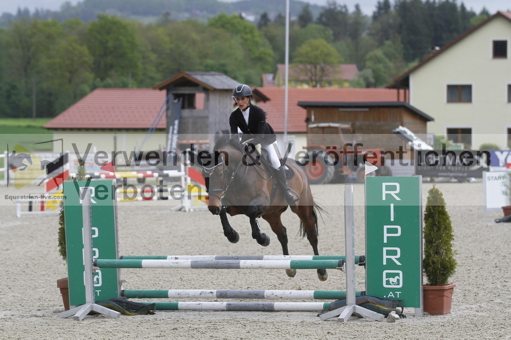 _MG_0738 | equestrian-live-com