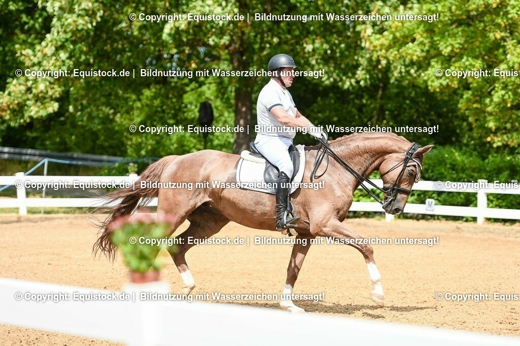 20230716_01_Dressurprüfung Kl.M_0109 | equistock