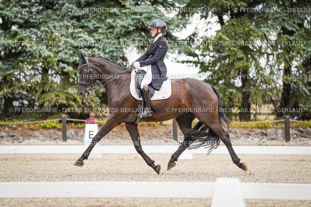 DSC07024 | Pferdegrafie