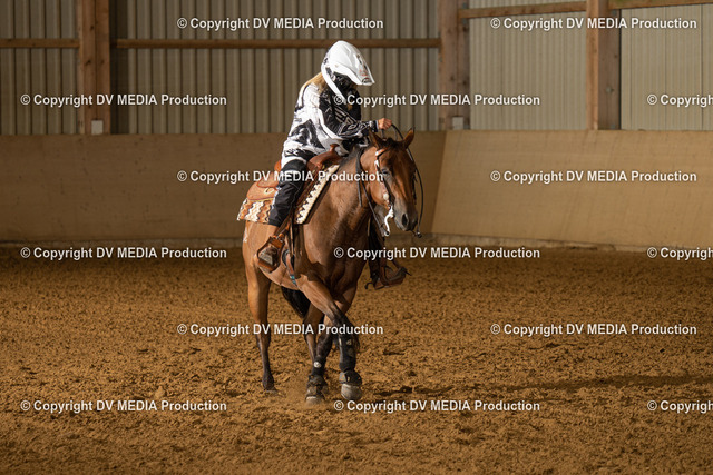 LAU01150 | dv-media-shop - Realisiert mit Pictrs.com