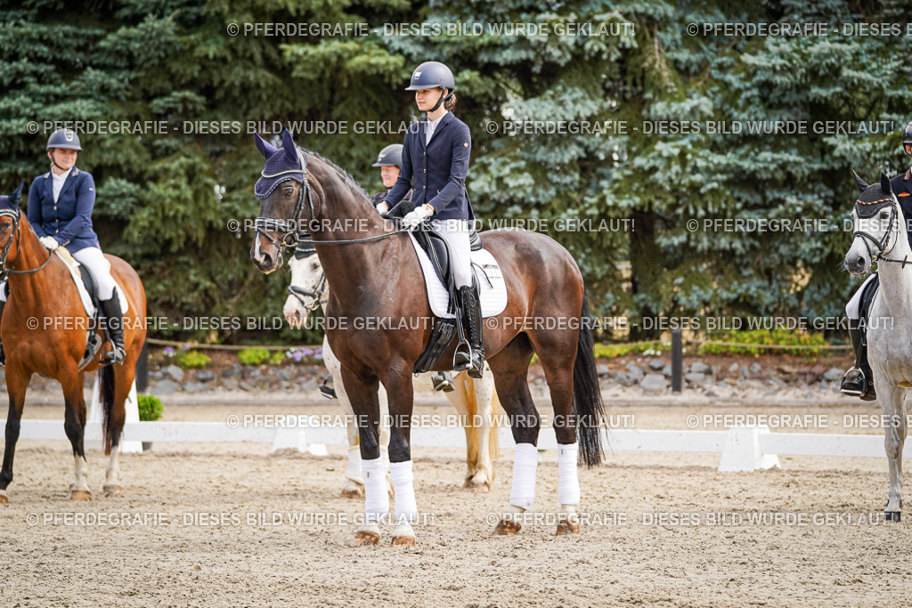 DSC02319 | Pferdegrafie