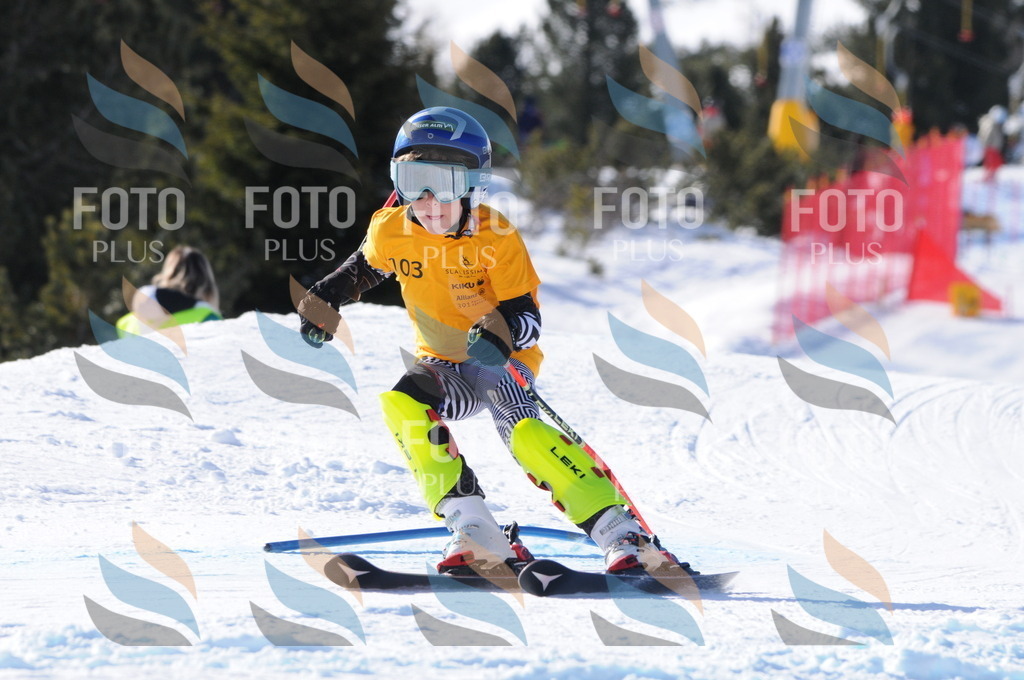 C7091 | holidayphoto