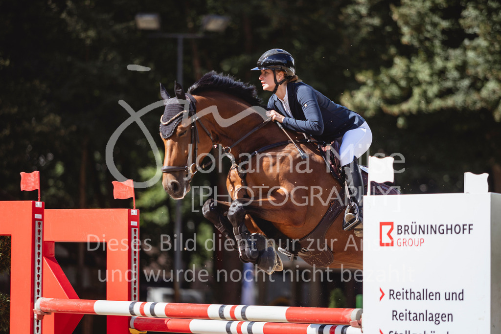 240912_OWLCh_AmateurS-271 | Deine schönsten Turniermomente als professionelle Fotos! Entdecke hochwertige Pferdesport-Fotografie im Online-Shop. Jetzt Fotos finden & bestellen!