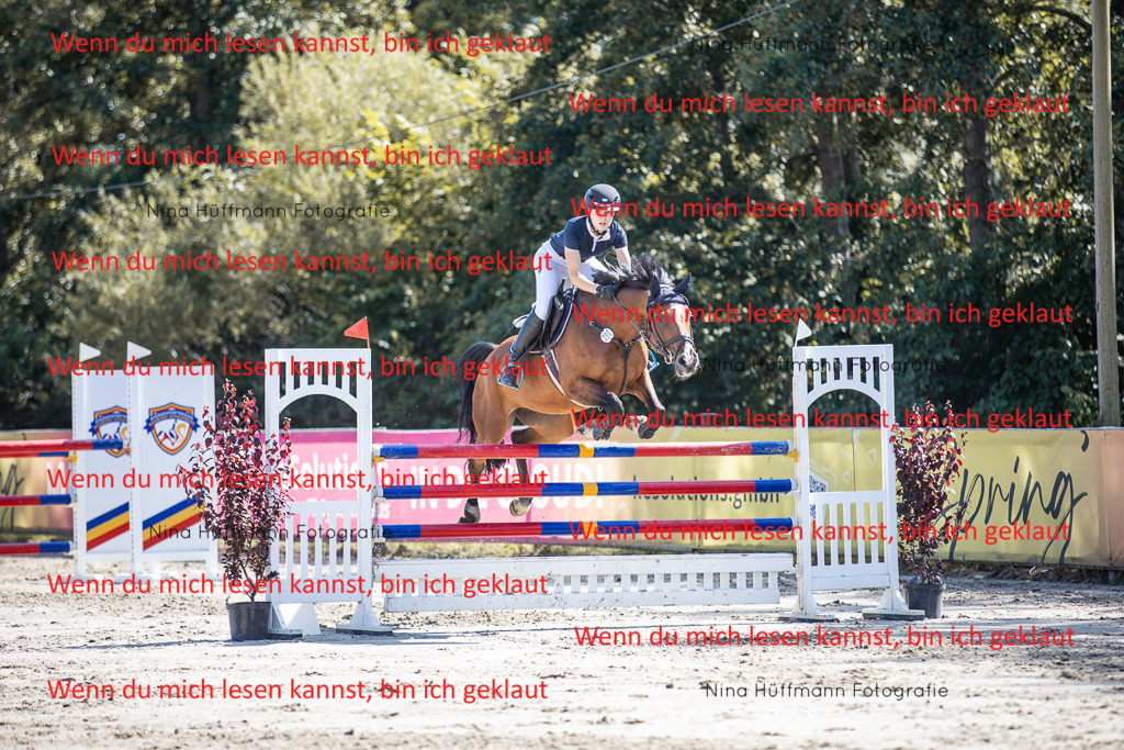 BK1A6916 | Turnierbilder Turnierfotos Nina Hüffmann Turnierfotografie Pferdefotografie Tierzeichnung Haustierzeichnung Pferdezeichnung Hundezeichnung Videograf  - Realisiert mit Pictrs.com