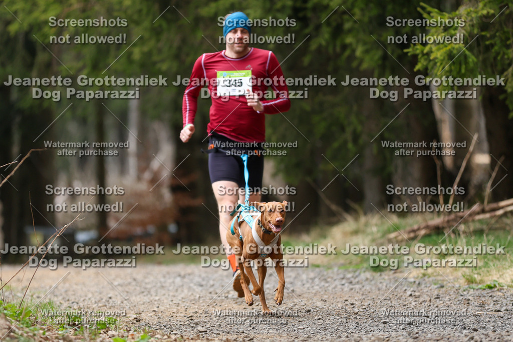 Dog Paparazzi - VCC26-441 | Dog Paparazzi Jeanette Grottendiek Fotografie & Videografie - Realisiert mit Pictrs.com