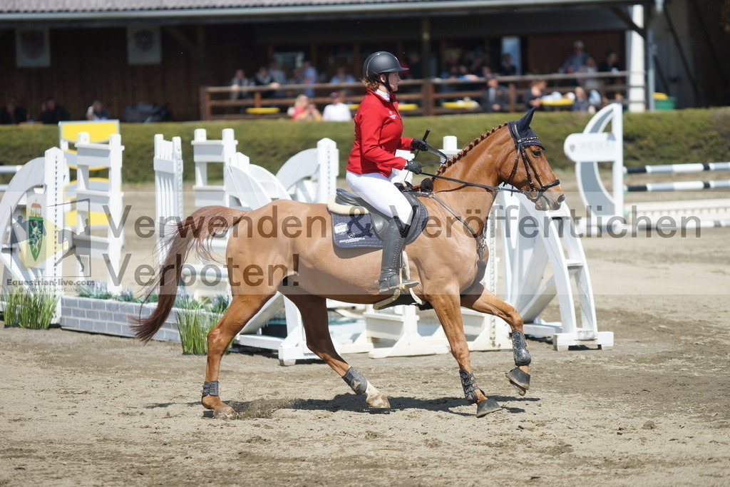 DSC02929 | equestrian-live-com