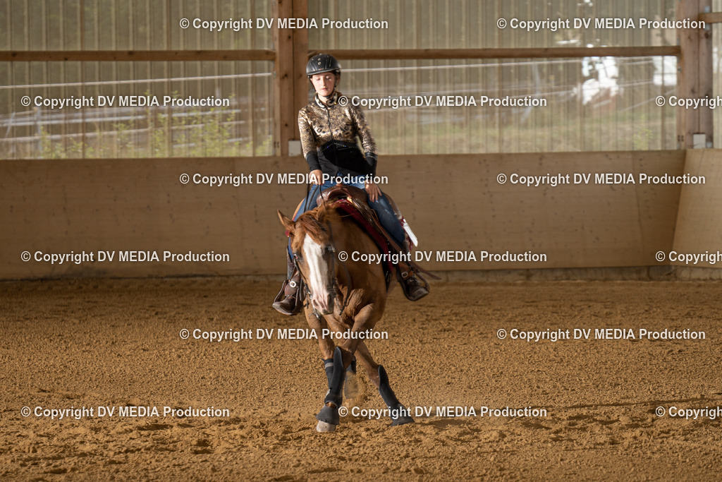 LAU01789 | dv-media-shop - Realisiert mit Pictrs.com