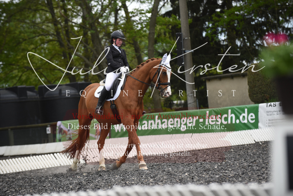 20230513_JK-Röhrsdorf-16-127 | Pferde- und Turnierfotografie in Westsachsen. Pferdeportraits, Auftragszeichnungen und intuitive Kunst.