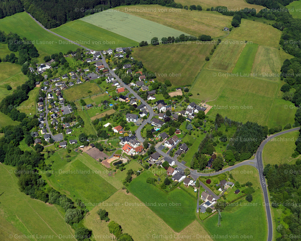 3120175 | Schweifeld