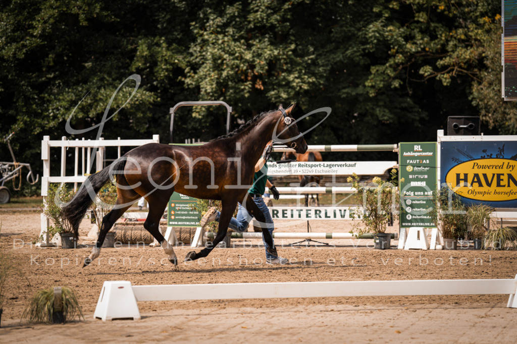 2. Fr00103 | Leoni Ertmer Photography - Realisiert mit Pictrs.com