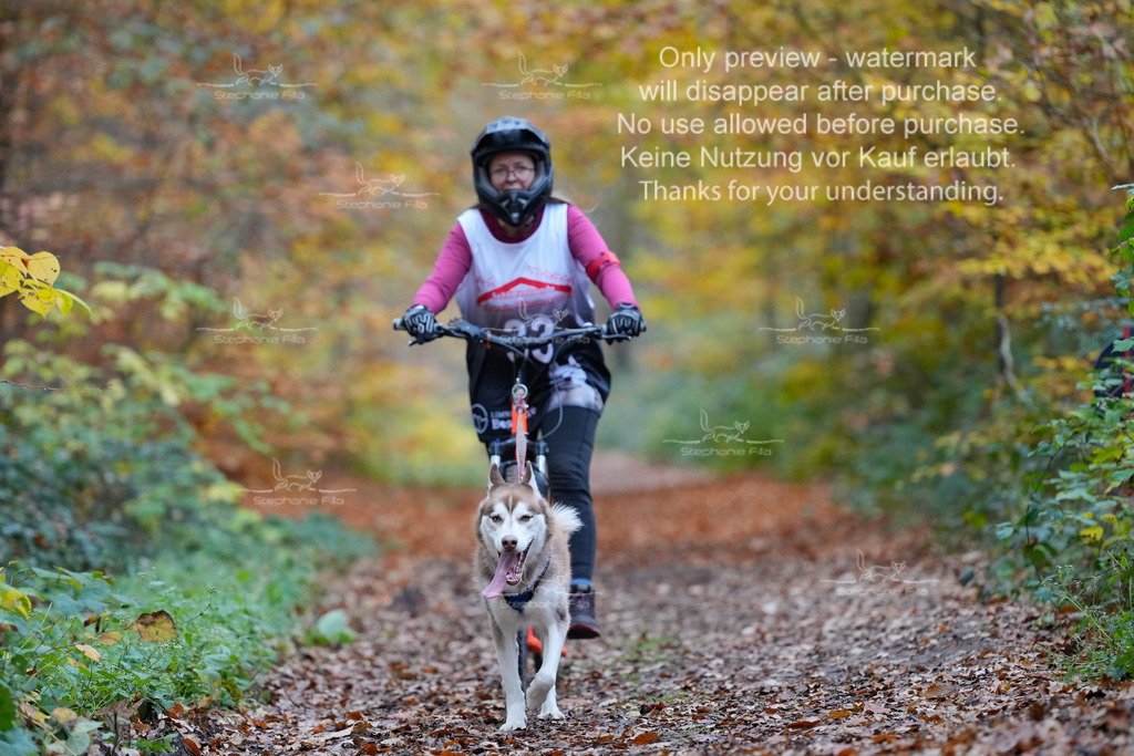 Scooter_So-103 | stephaniefillaphotographie - Realisiert mit Pictrs.com