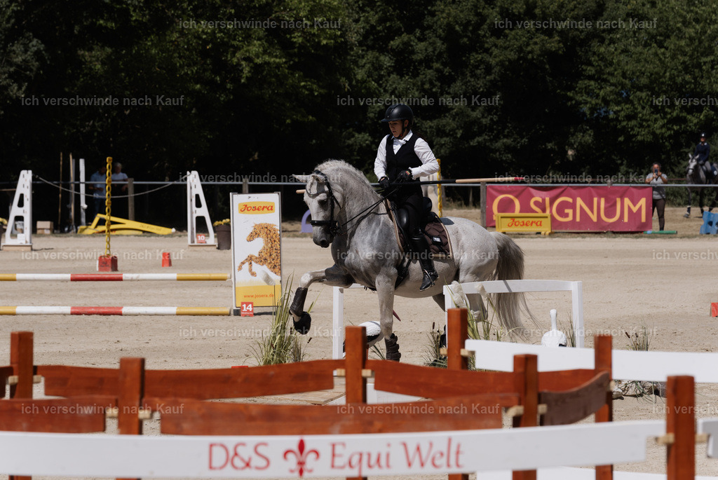 WM_SP_143_SinaFilmArt_IN07798 | working equitationturnier fotograf videograf stoibphotography marixx film working equitation deutschland reitsport turnierfotografie eventfotografie equestrian events