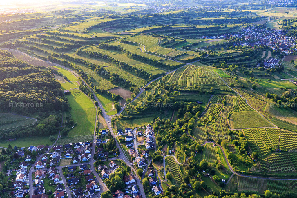 Luftbild: terassierte Weinberge im Ortsteil Nordweil im Ortsteil Bombach in Kenzingen im Bundesland Baden-Württemberg in Deutschland. – Foto: IMG_147446.jpg vom 29.05.2025 durch Werner Riehm/FLY-FOTO.de – Auflösung des Originals: 5472 x 3648 px