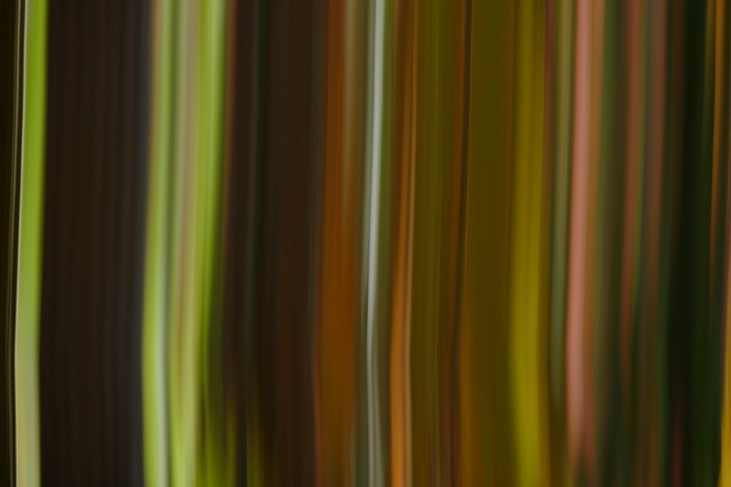 P4030194 | Annaeherungen - Realisiert mit Pictrs.com