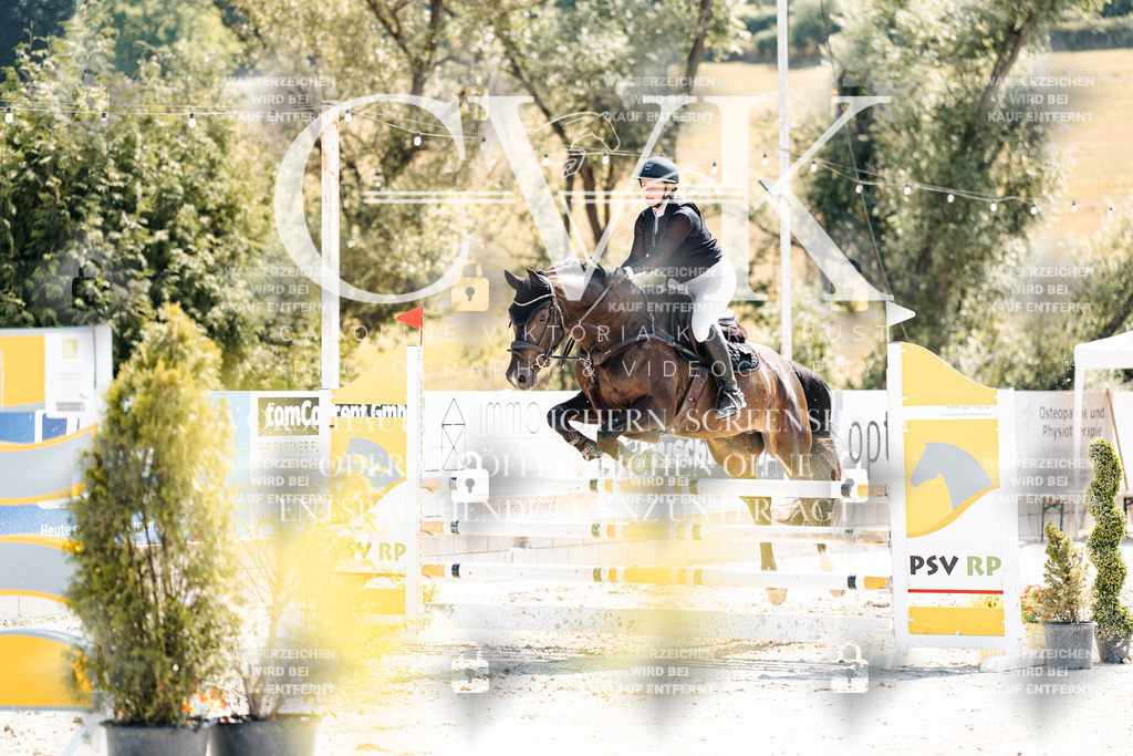CK909290 | Turnierfotografie Pferdefotografie Trier Rheinland-Pfalz Pferdesport Reitsport Tierfotografie Sportfotografie Pferdevideo Pferdevideografie Equestrianvideography equestrianphotography  - Realisiert mit Pictrs.com