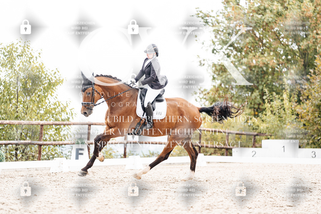CK900853 | Turnierfotografie Pferdefotografie Trier Rheinland-Pfalz Pferdesport Reitsport Tierfotografie Sportfotografie Pferdevideo Pferdevideografie Equestrianvideography equestrianphotography  - Realisiert mit Pictrs.com