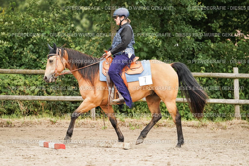 DSC08631 | Pferdegrafie