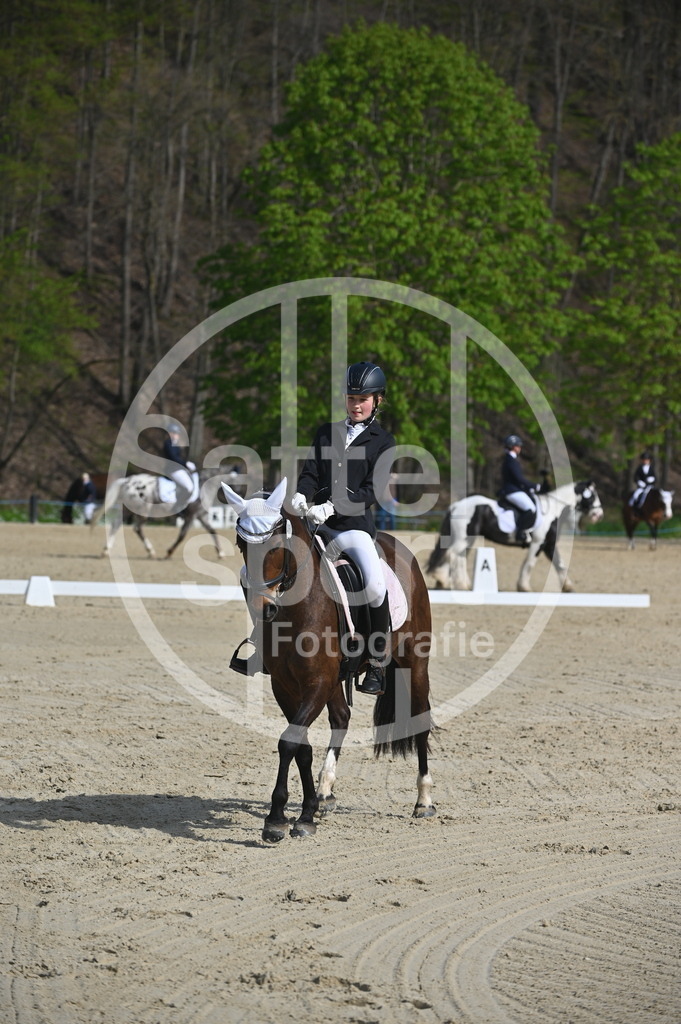 DSC_0579 | sattelsport - Realisiert mit Pictrs.com