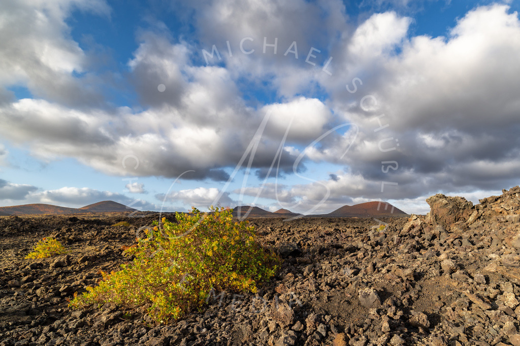2025-03-26 Lanzarote El Cuervo 043 | Schwotte Media - Realisiert mit Pictrs.com