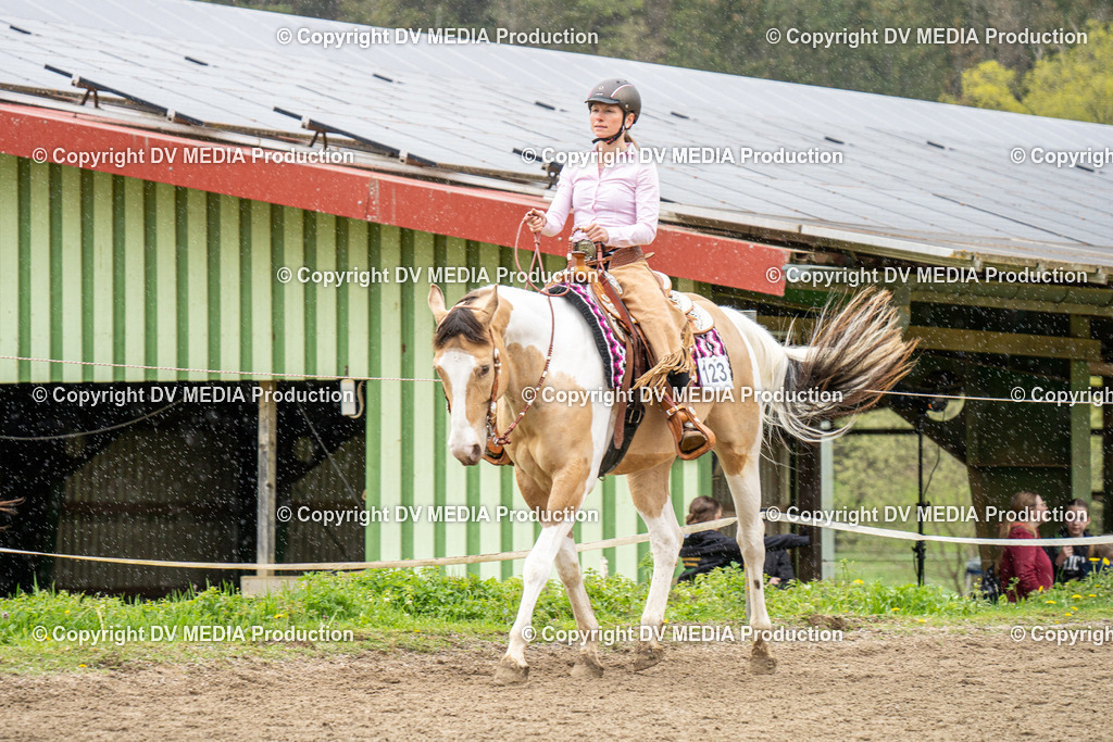 BAL00835 | dv-media-shop - Realisiert mit Pictrs.com