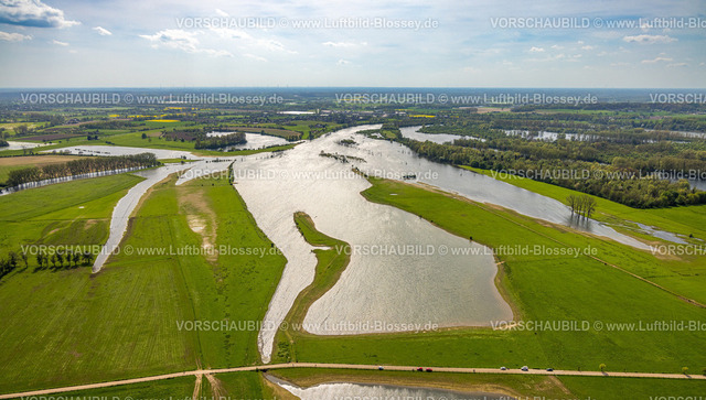 Wesel240402172BislicherInsel-Wesel | Luftbild, NSG Naturschutzgebiet Bislicher Insel Auenlandschaft, Fluss Alter Rhein, Bäume im Wasser und Waldgebiet, Fernsicht, Ginderich, Wesel, Niederrhein, Nordrhein-Westfalen, Deutschland