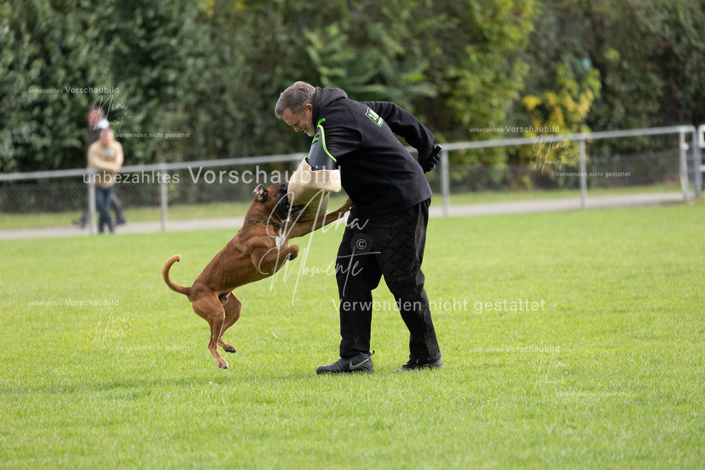 _16A7077 | Einzigartige Fotos von Hunden & Menschen –Actionfotos, Portraits, Vereinsaufnahmen & Paarshootings – authentisch, lebendig & mit Herz.