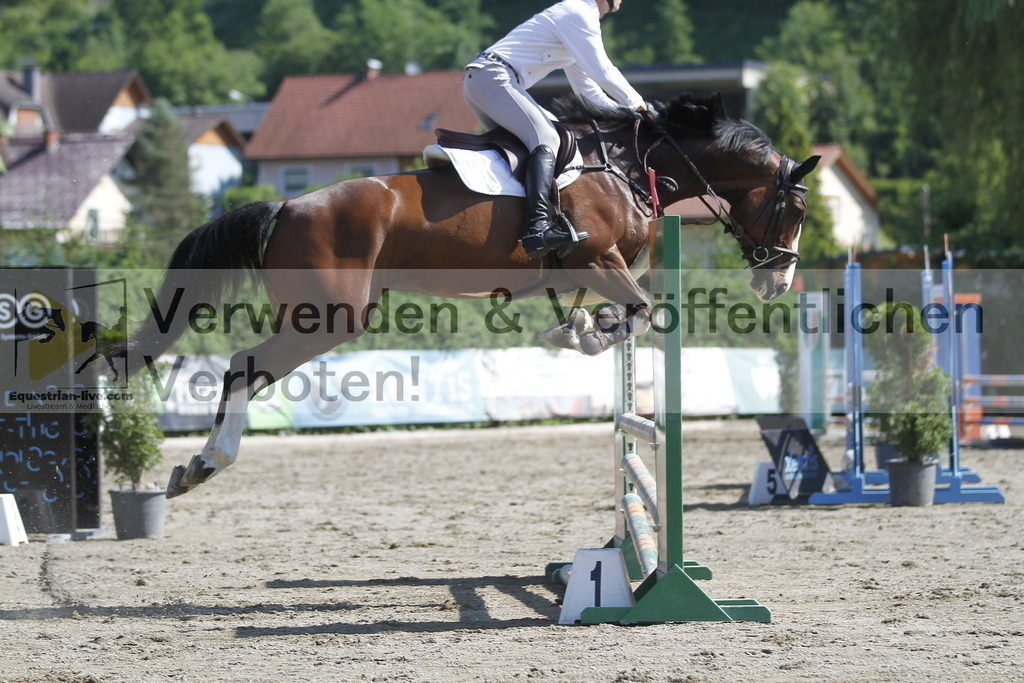 _MG_8445 | equestrian-live-com