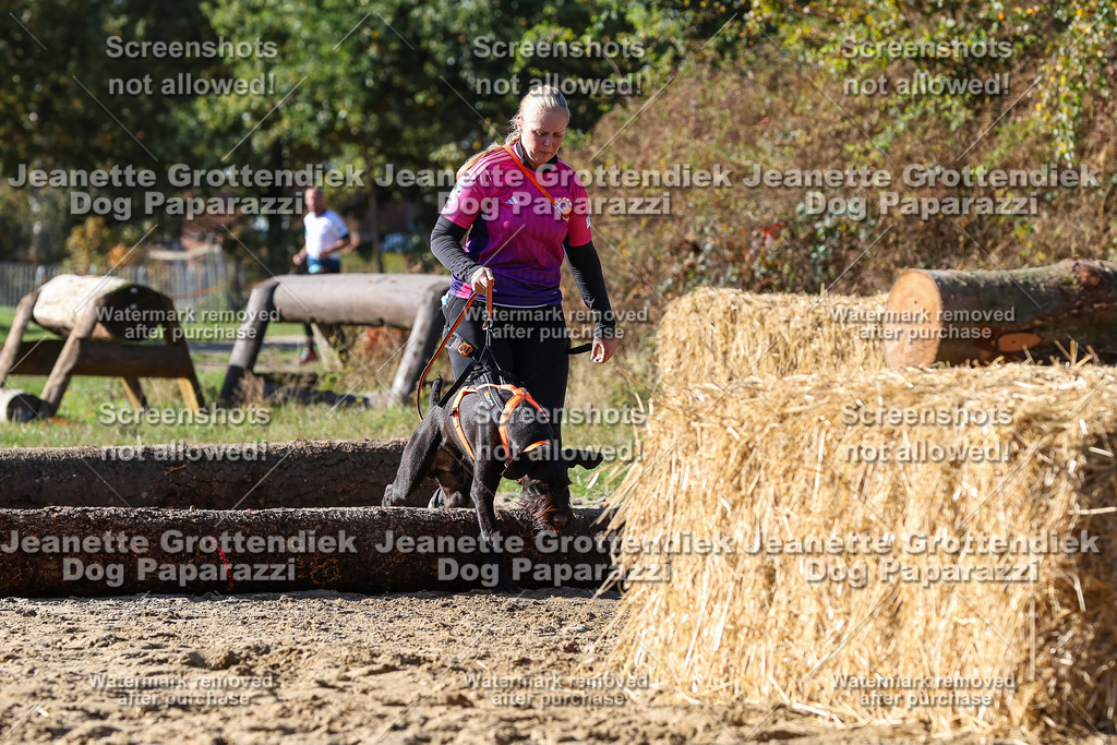 Dog Paparazzi - Strongdog 10-25-2913 | Dog Paparazzi Jeanette Grottendiek Fotografie & Videografie - Realisiert mit Pictrs.com