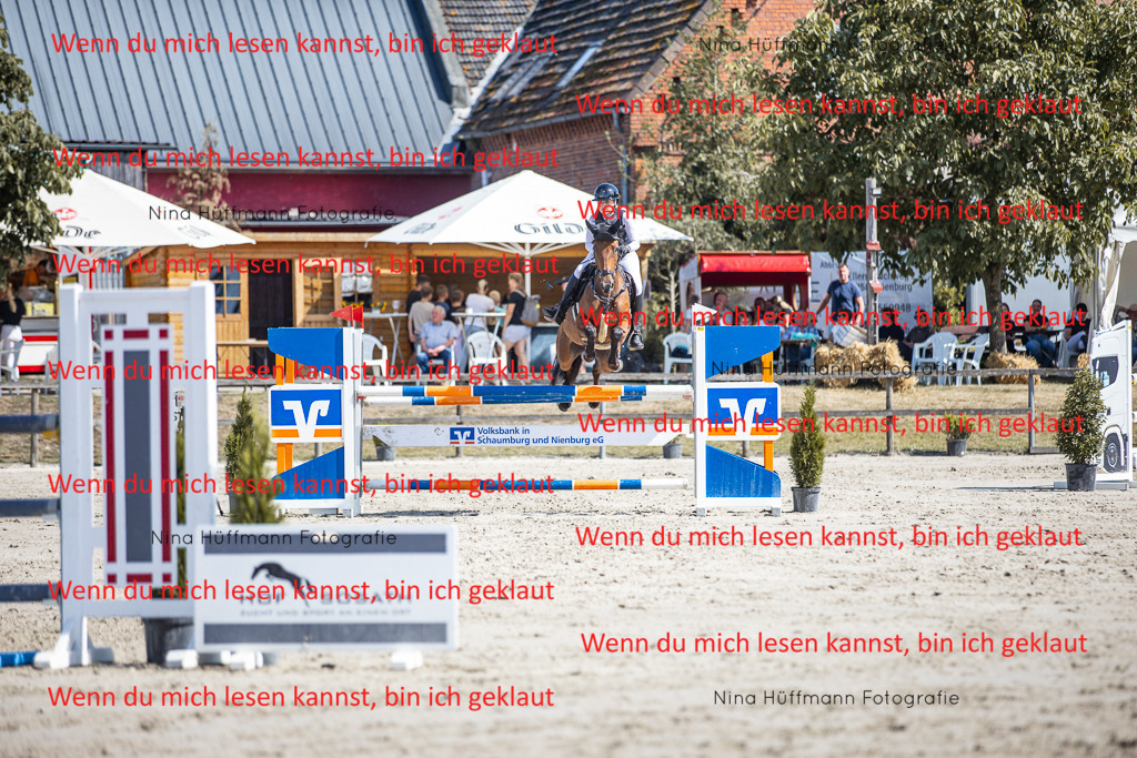 BK1A6902 | Turnierbilder Turnierfotos Nina Hüffmann Turnierfotografie Pferdefotografie Tierzeichnung Haustierzeichnung Pferdezeichnung Hundezeichnung Videograf  - Realisiert mit Pictrs.com