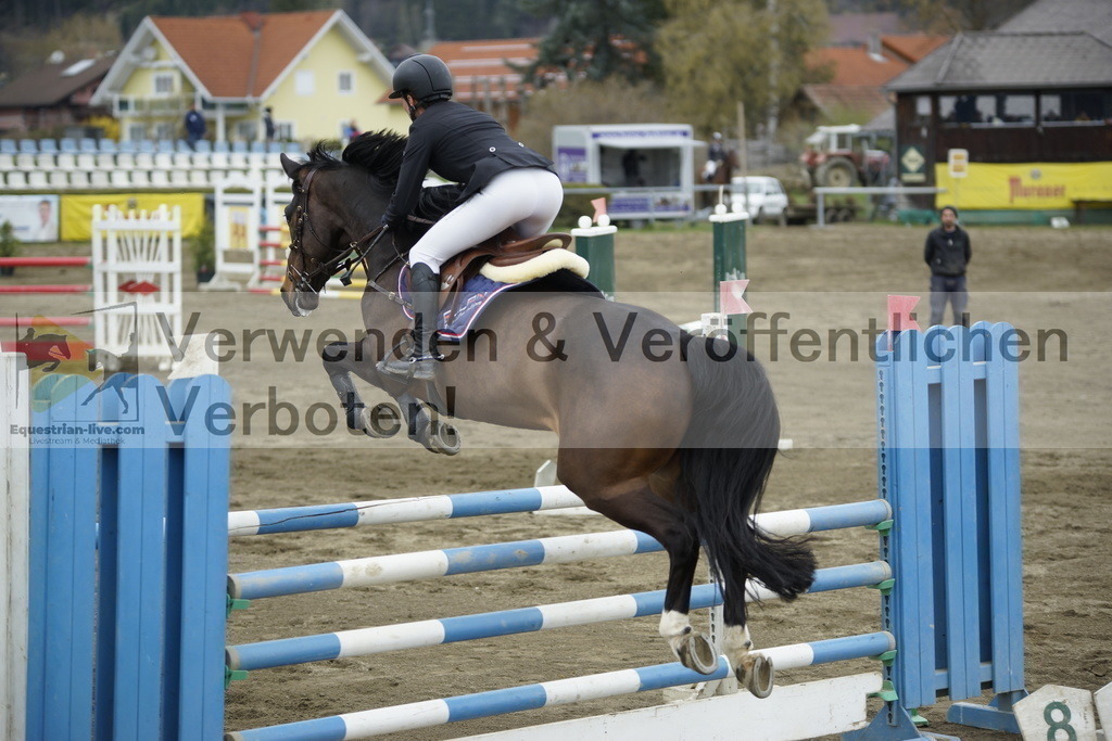 _DSC7374 | equestrian-live-com