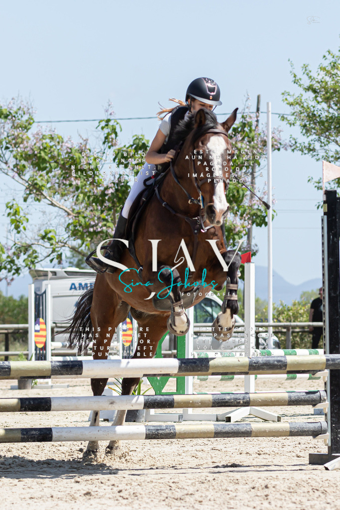 IMG_0506 | s-jay-photography - Realisiert mit Pictrs.com