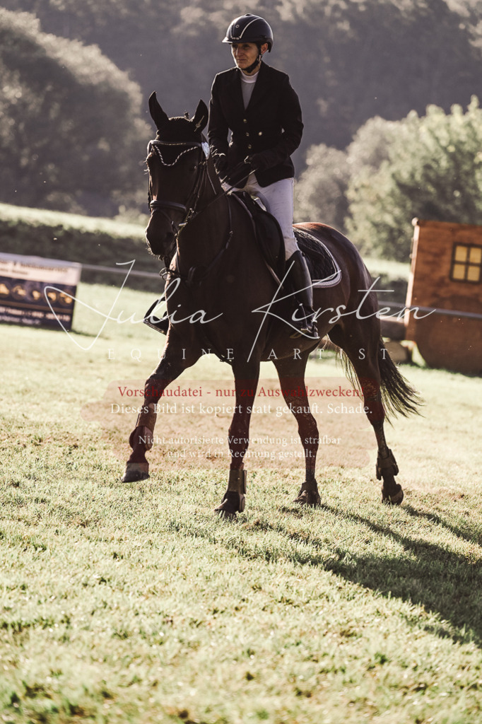 DSC_4653 | Pferde- und Turnierfotografie in Westsachsen. Pferdeportraits, Auftragszeichnungen und intuitive Kunst.