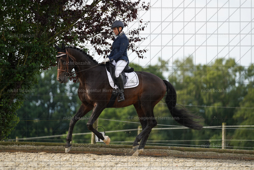 20230826-FAH04499 | Forstinning, 2023, Dressurturnier, Turniersportbilder, Turnierfotografen Bayern, Fotoagentur Herrmann, Reitsportfotografie, Turnierbilder