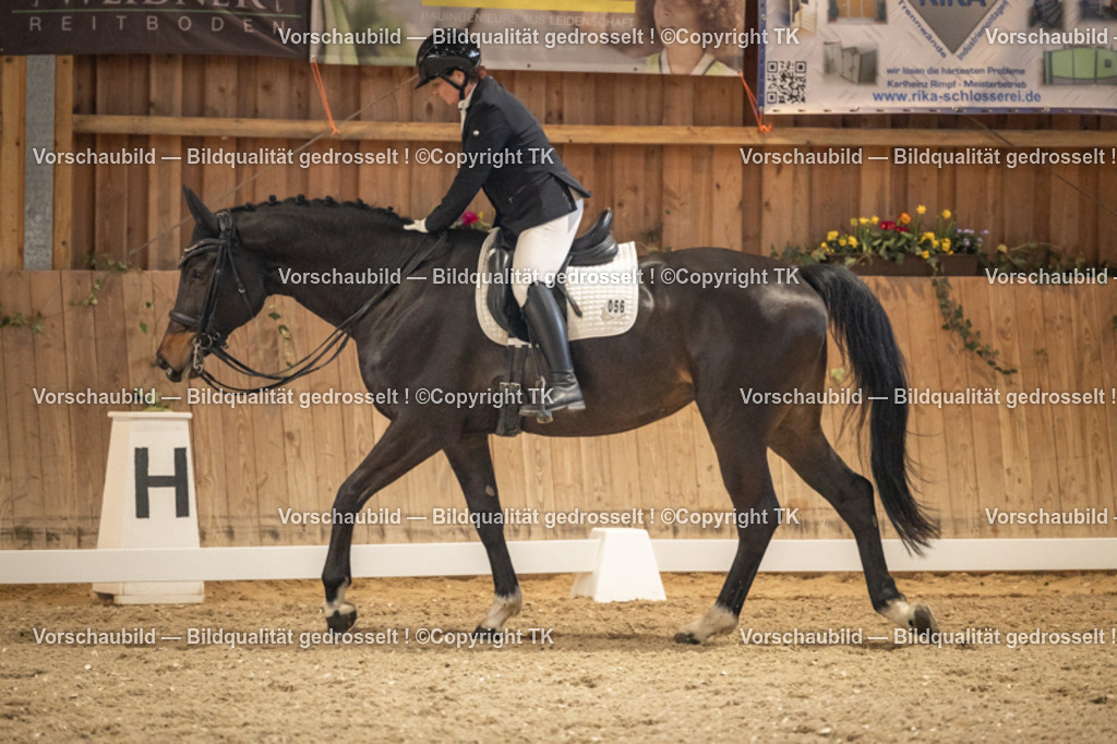 _D5A9663 | Emotionale Pferde- & People-Fotografie rund um Heidelberg, Leimen & Umgebung. Natürliche Fotos von Pferd, Mensch & Familie. Jetzt Termin sichern!