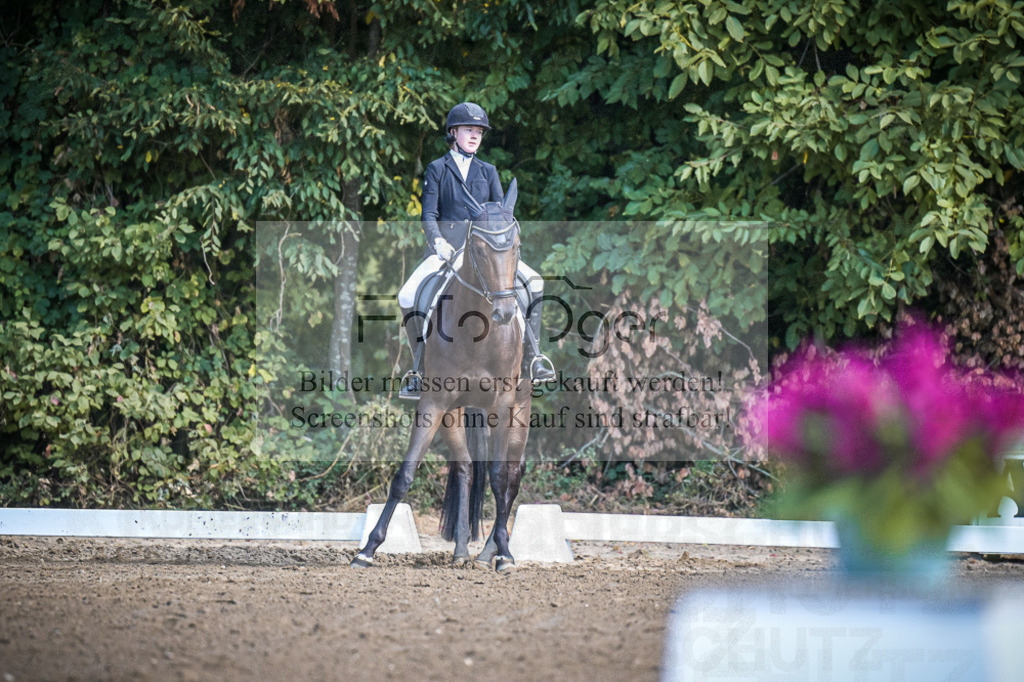 DOS_2861 | Entdecke hochwertige Reitturnierfotos von Foto Oger. Professionell, emotional und authentisch – jetzt Lieblingsmomente im Shop bestellen.Deutschlandweite Turnierfotografie. - Realisiert mit Pictrs.com