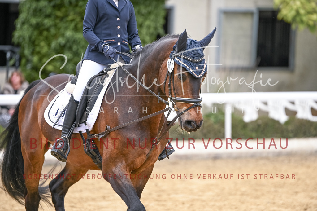 Schugtsche-Aluta25-44.DresssurreiterWB-141 | Schugtsche Fotografie - Realisiert mit Pictrs.com