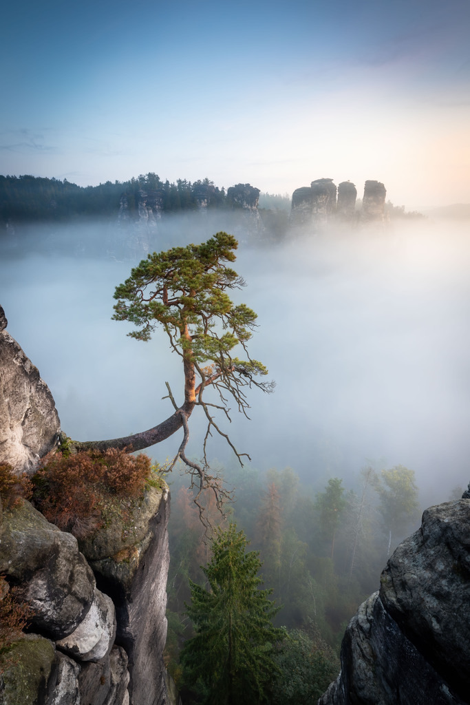 Deutschland Sächsische Schweiz 30 | christophschaarschmidt - Realisiert mit Pictrs.com