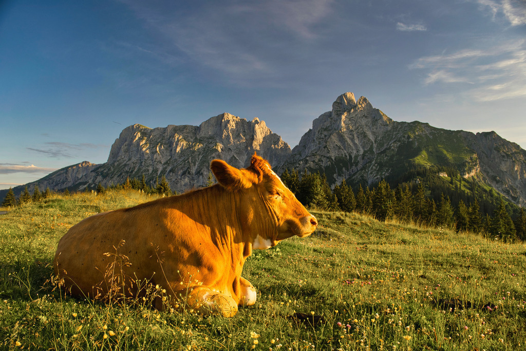 Guten Morgen | walter-wagner-fotografie