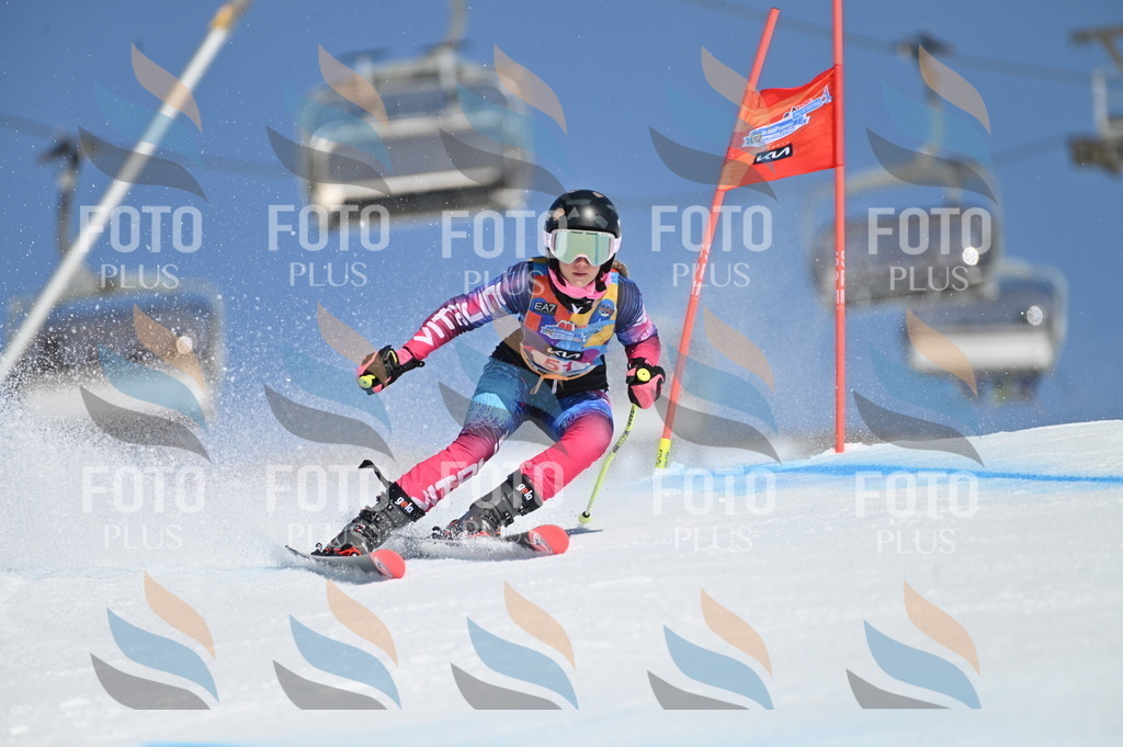 BGV_8548 | holidayphoto