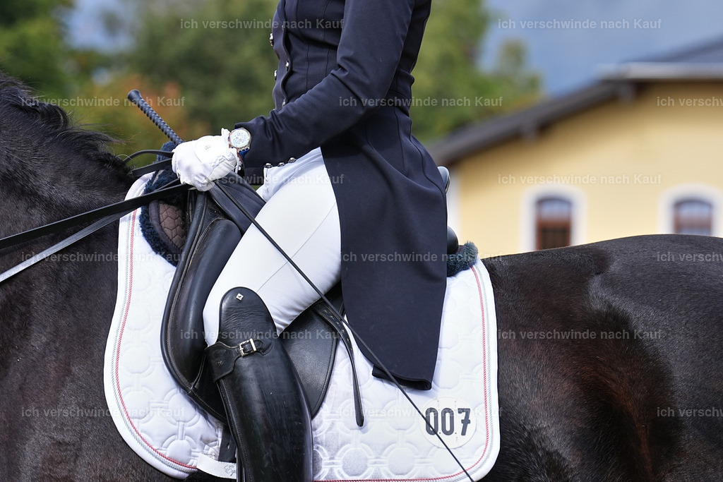 07-007-DRESSUR  S___  -Marixx-5136 | working equitationturnier fotograf videograf stoibphotography marixx film working equitation deutschland reitsport turnierfotografie eventfotografie equestrian events
