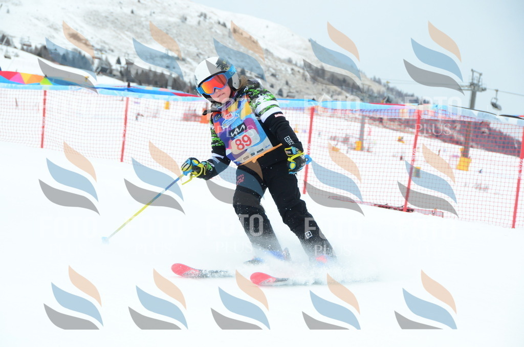 DSC_1156 | holidayphoto