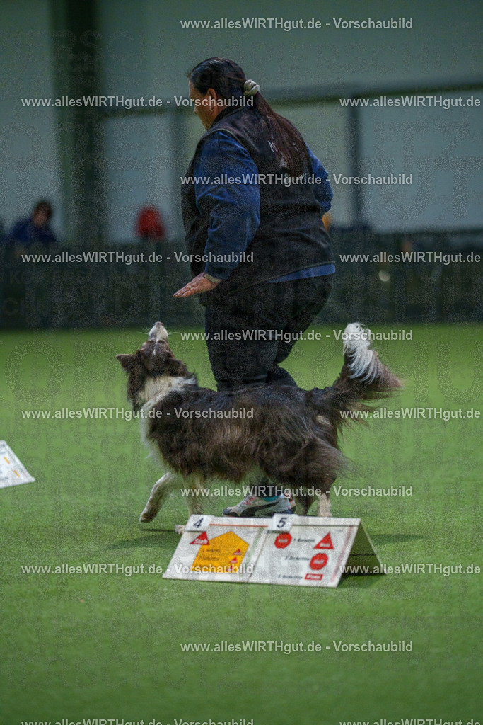 7R500268 | Professionelle Tierfotografie in Mönchengladbach von Daniel Wirth (allesWIRTHgut). Liebevolle & natürliche Bilder von Hunden & Katzen für unvergessliche Erinnerungen.