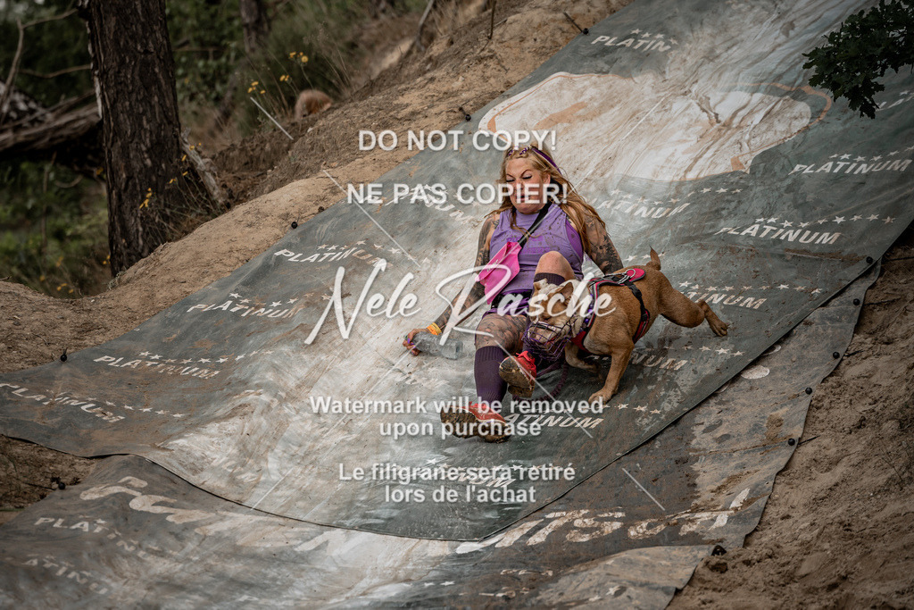 nelerasche_sa1100-1200_481 | nelerasche