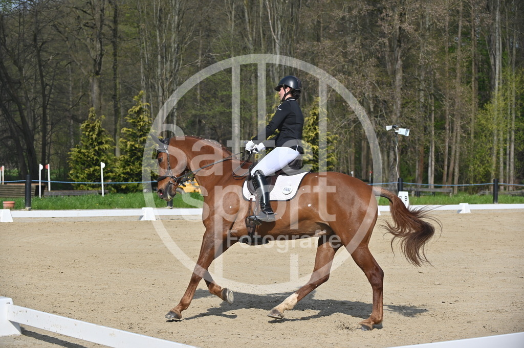 DSC_0493 | sattelsport - Realisiert mit Pictrs.com