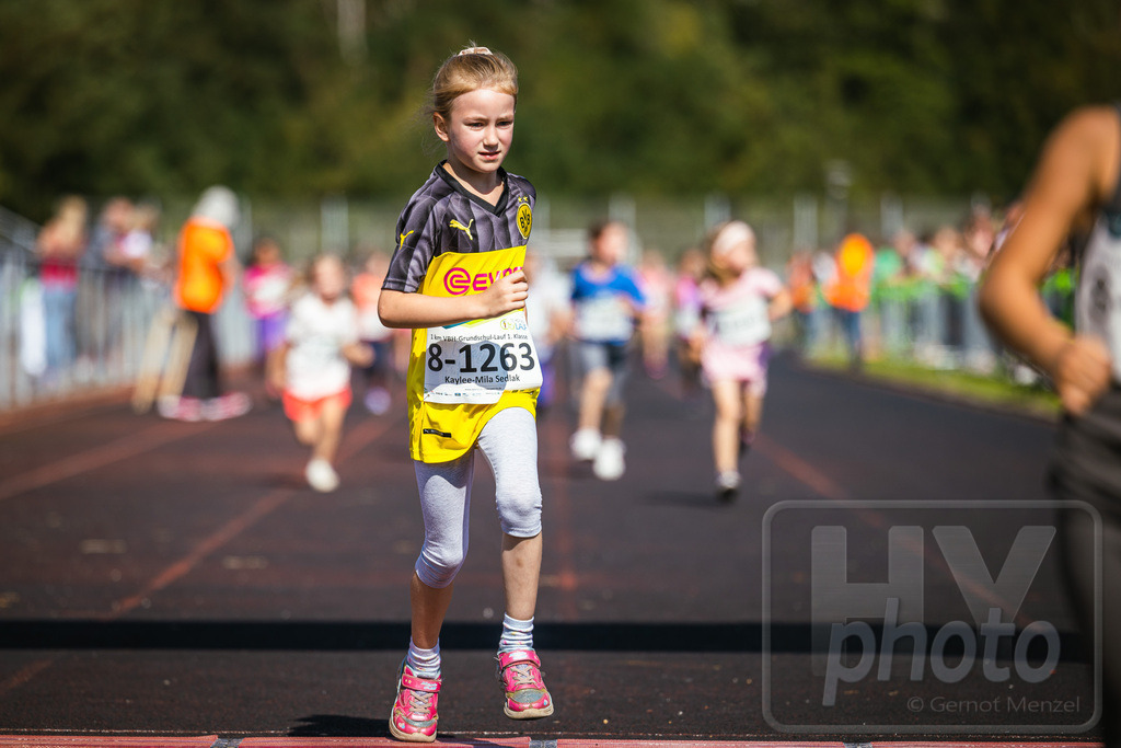 GM_20230916_247195_Canon EOS R5_GMHY6479_RAW_s3900 | Webshop der Firma HY-photo, bietet Fotos und Fotoprodukte vorrangig mit Motiven aus Hoyerswerda und Umgebung, aber auch weltweit. Fotograf: Gernot Menzel - Realisiert mit Pictrs.com