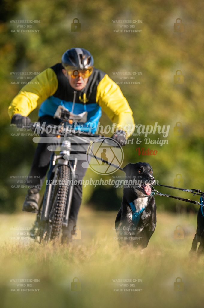 CDLBDB_15_10_2023_Dimanche-375 | mompixphotography