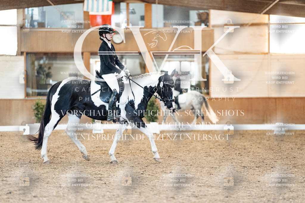 CK907635 | Turnierfotografie Pferdefotografie Trier Rheinland-Pfalz Pferdesport Reitsport Tierfotografie Sportfotografie Pferdevideo Pferdevideografie Equestrianvideography equestrianphotography  - Realisiert mit Pictrs.com