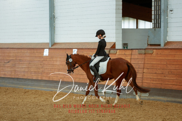 _62_8017 | Turniersportfotografie; Pferdefotografie; Dressurfotografie