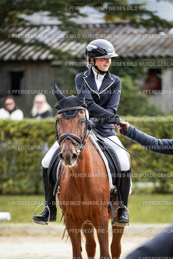 DSC04987 | Pferdegrafie